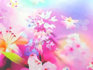 Šatovka pestrofarebná  kvety  - bordúra jednostranná