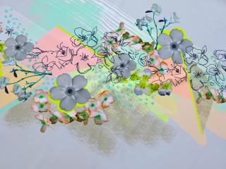 Šatovka sivá  kvety  - bordúra jednostranná