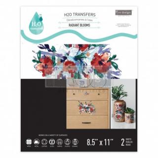 H2O transfer Redesign