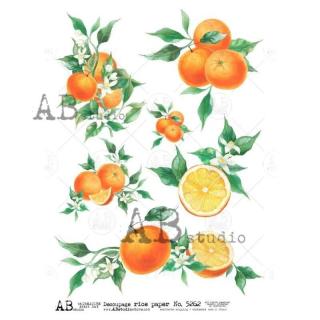 Ryžový papier na decoupage AB5262