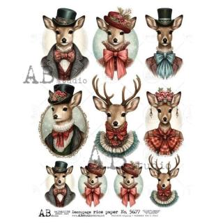 Ryžový papier na decoupage AB5677