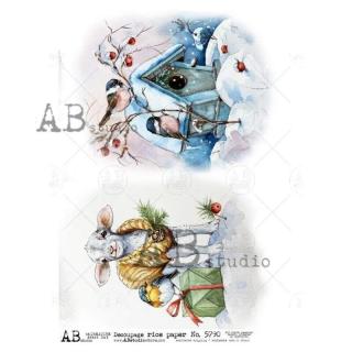 Ryžový papier na decoupage AB5790