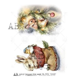 Ryžový papier na decoupage AB5791