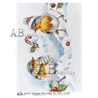 Ryžový papier na decoupage AB5798