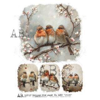 Ryžový papier na decoupage AB6339