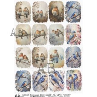 Ryžový papier na decoupage AB6345