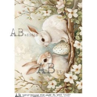 Ryžový papier na decoupage AB6405