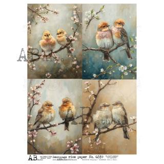 Ryžový papier na decoupage AB6536