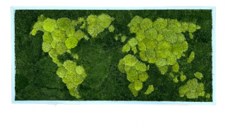 Machový obraz -  mapa sveta Farba rámu: Prírodná borovica
