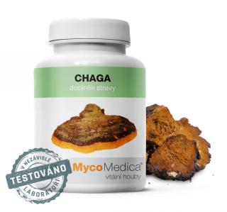 CHAGA (Medicinálna huba)