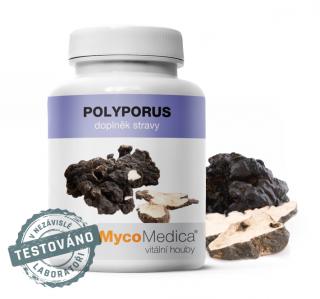 MycoMedica, POLYPORUS medicinálna huba, 90 kapsúl (Medicinálna huba)