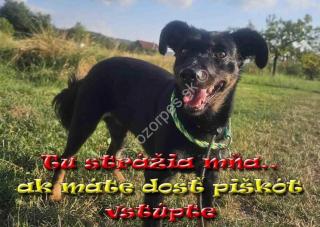 Hliníková tabuľka  pozorpes.sk (Oriešok)