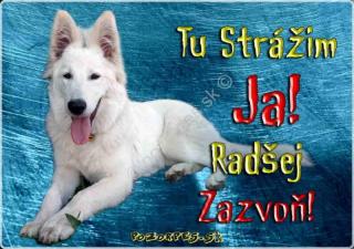 Hliníková tabuľka  pozorpes.sk (Švajčiarsky ovčiak)
