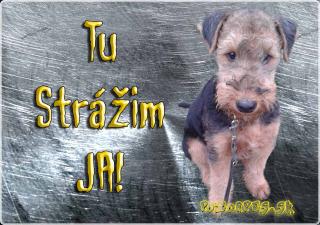 Pozorpes.sk,  výstražná tabuľka (Airedalsky terier)