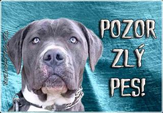 Pozorpes.sk,  výstražná tabuľka (Bandog)