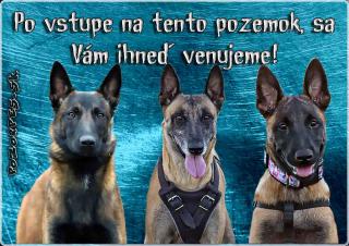 Pozorpes.sk,  výstražná tabuľka (Belgický ovčiak - trojica)