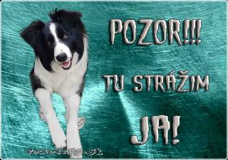 Pozorpes.sk,  výstražná tabuľka (Border kólia)