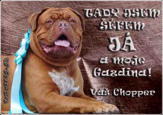 Pozorpes.sk,  výstražná tabuľka (Bordoxská doga)