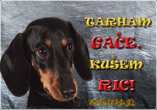 Pozorpes.sk,  výstražná tabuľka  (Jazvečík krátosrstý trpasličí)