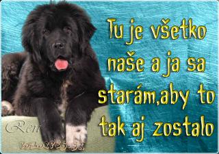 Pozorpes.sk, výstražná tabuľka (Novofundlanský pes)