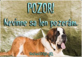 Pozorpes.sk, výstražná tabuľka (Svätobernardský pes  Bernardín)