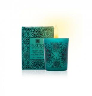 Spa Ceylon - FOREST TRAIL - prírodná aromatická sviečka 50 g