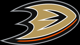 Anaheim Ducks nálepka - SKLADOM