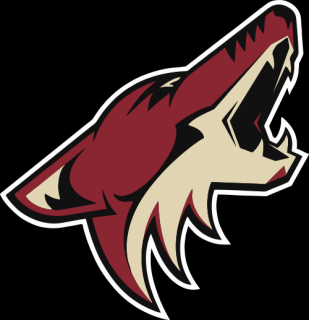 Arizona Coyotes nálepka - SKLADOM