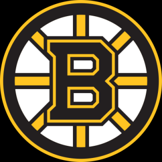 Boston Bruins nálepka - SKLADOM