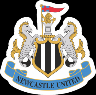 Newcastle United FC nálepka 10x9,9 cm - SKLADOM