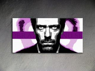 POP ART obraz na stenu Dr. HOUSE 1 dielny 60x120cm