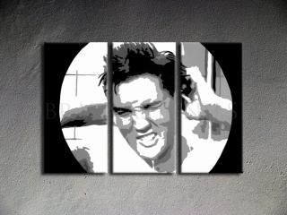 Ručne maľovaný POP Art ELVIS 3 dielny 120x80cm