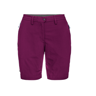 SALEWA PUEZ DRY W dark purple