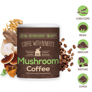 Altevita TCM Mushroom COFFEE 90g