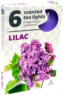 Admit Vonné čajové sviečky Lilac 6ks