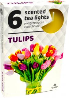Admit Vonné čajové sviečky Tulipány 6ks