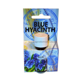 Admit Vonný olej Modrý hyacint 10ml