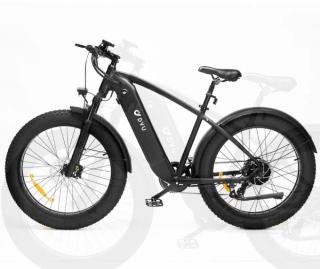 Elektrobicykel DYU KING 20Ah 750W | UNISTYLE.SK