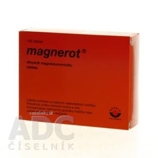 MAGNEROT tbl (blister PVC/PVDC/Al) 1x100 ks