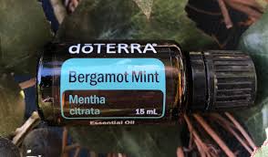 doTerra Bergamont mint -15 ml - Bergamotová mäta