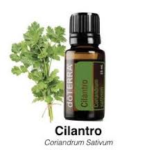 doTerra Cilantro 15 ml (koriandrová vňať)-olej pustenia kontroly