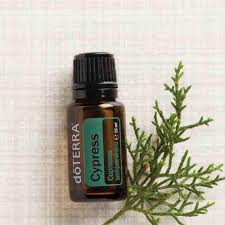 doTerra Cypress-15 ml  (Cypruštek) - olej toku a pohybu