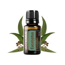 doTerra Eucalyptus 15 ml - eukalyptus (olej zdravia)