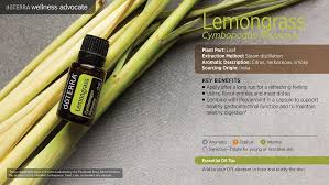 doTerra Lemongrass - 15 ml-Citrónová tráva (olej čistenia)