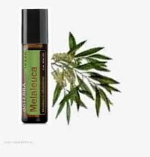 doTerra Melaleuca - 10 ml touch