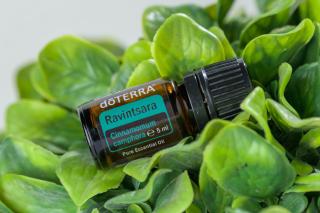 doTerra Ravintsara - 5 ml