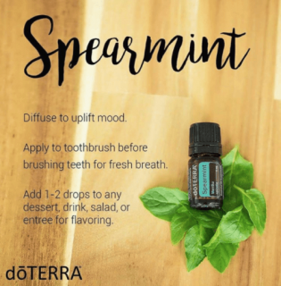 doTerra Spearmint -15 ml - Mäta kučeravá (olej sebavedomej reči)