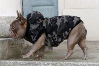 ARMY reflexná nepremokavá softshellová zateplená bunda pre psa Veľkosť: 3XL