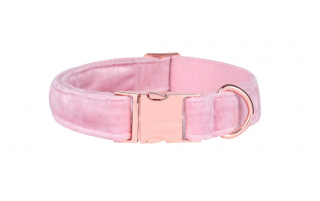 Luxusný zamatový obojok pre psa - ružový Veľkosť: L