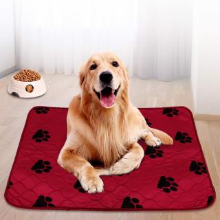 RED Umývateľná hygienická podložka pre psa 80x90cm